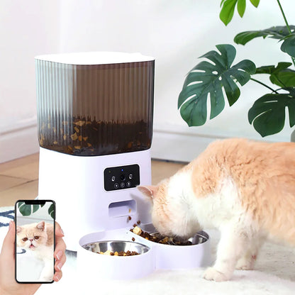 Programmable, intelligent et fiable – pour chiens et chats